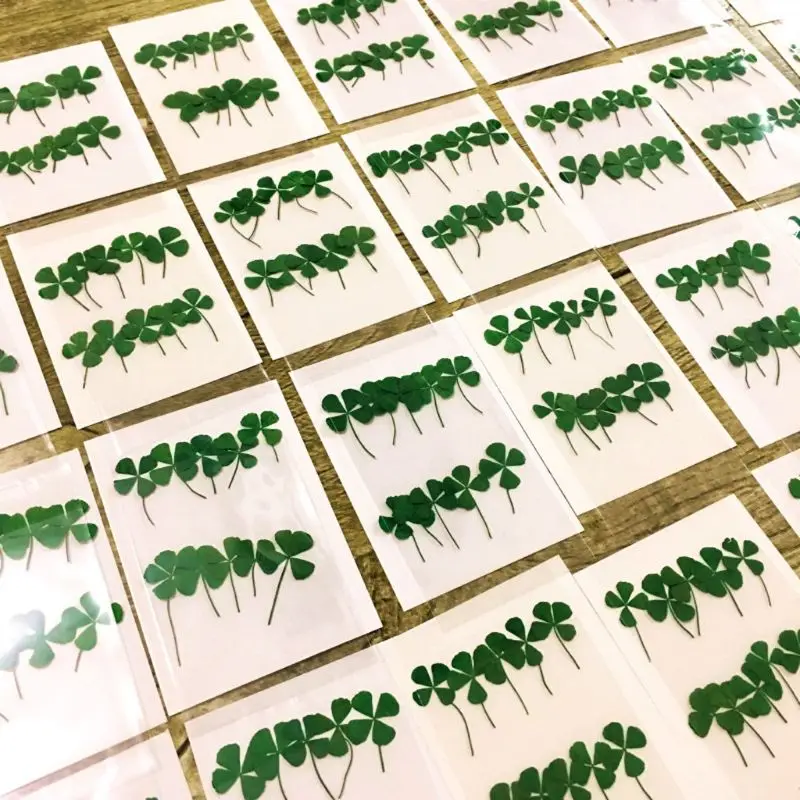 Resin Art Baby - 12Pcs Lucky Dried Leaf Clover UV