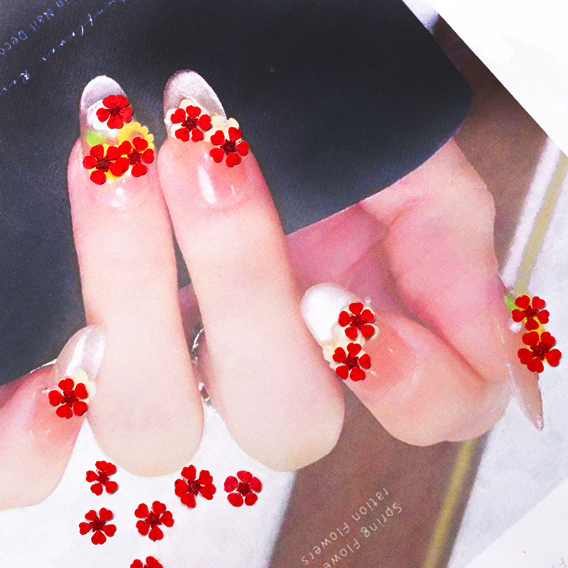 96Pcs Mini 1.5cm Natural Press - Resin Art Baby 评论和价格