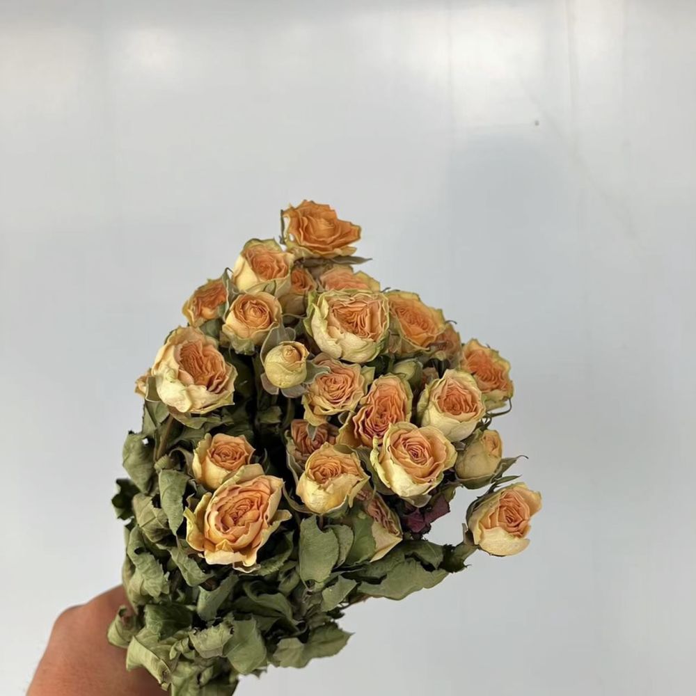 Real Preserved Roses Dried Flo - Resin Art Rose 评论和价格