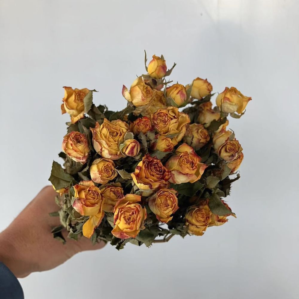 Real Preserved Roses Dried Flo - Resin Art Rose 评论和价格