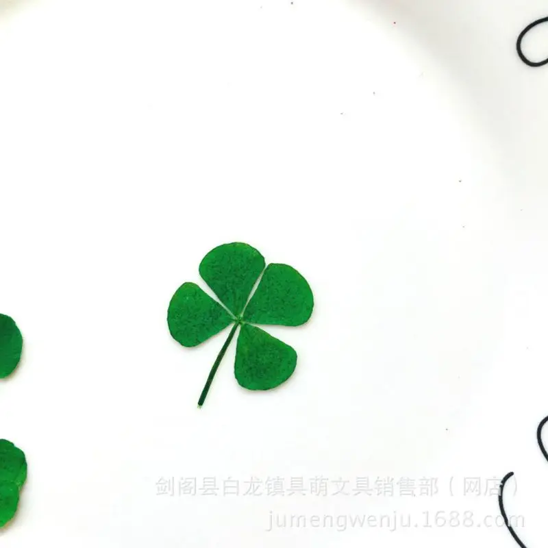 12Pcs Lucky Dried Leaf Clover  - Resin Art Baby 评论和价格